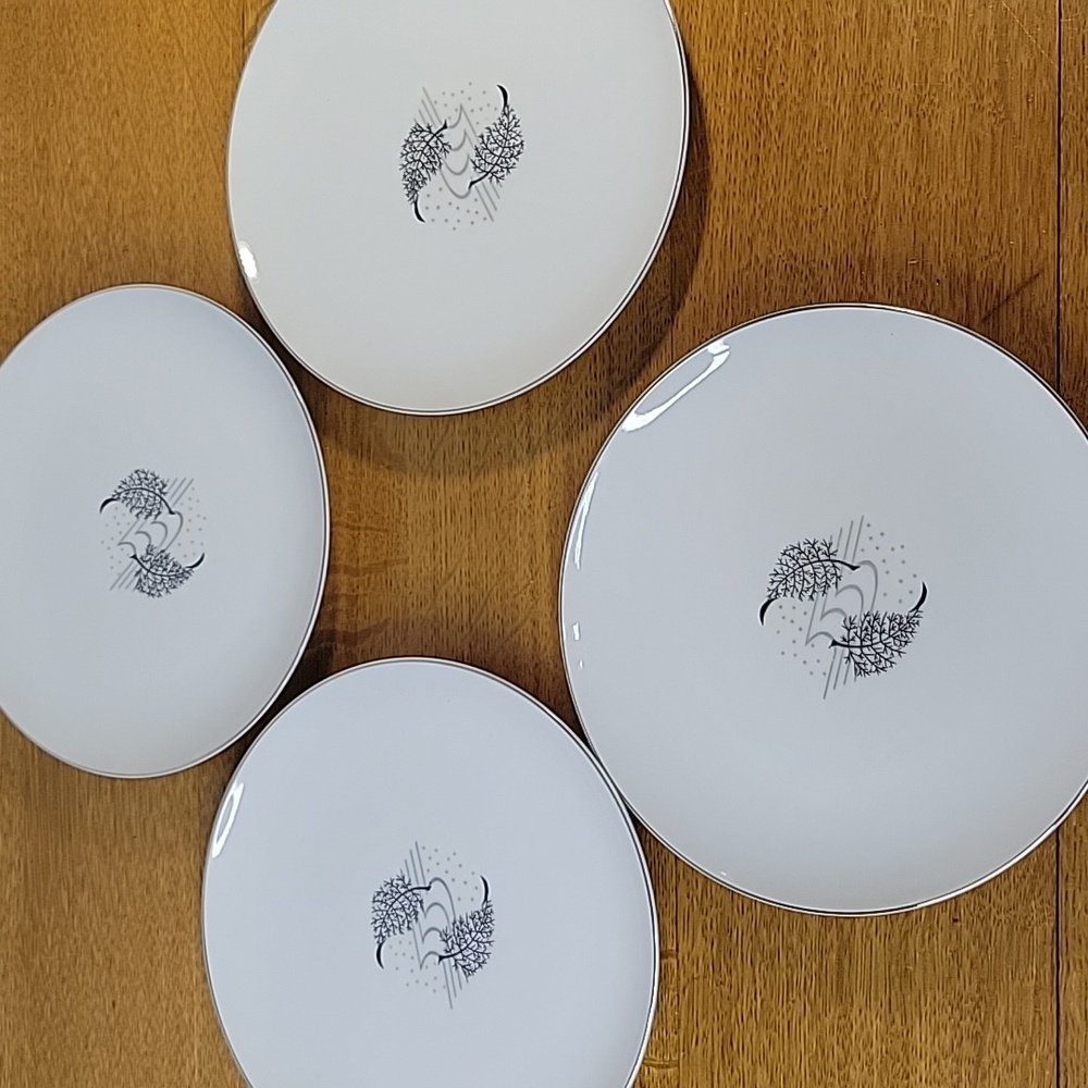 Trend China Salad Plate Fern Design Made In Japan White With Silver Rim